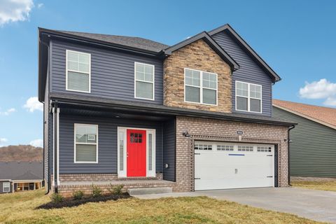 954 Tufnel Dr Clarksville TN 37040