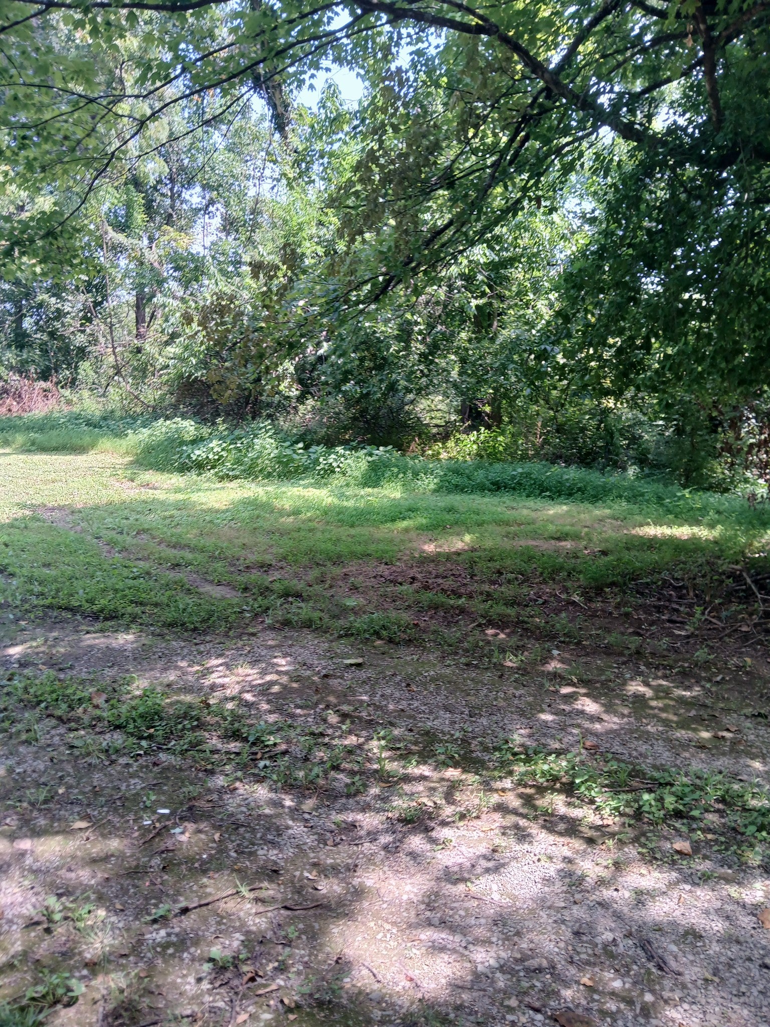 listing at 8729 Hester Beasley Rd, Nashville