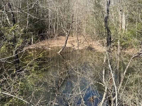 Photo of 200 Red Rock Canyon Road, Graysville, TN 37338 (MLS # 3136620)