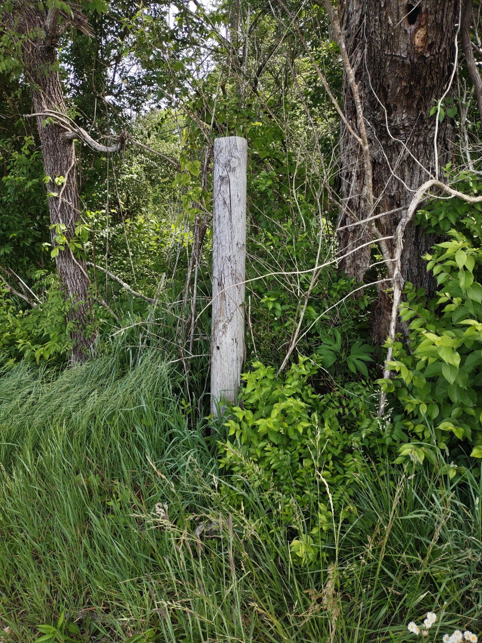 689 Stone Door Rd