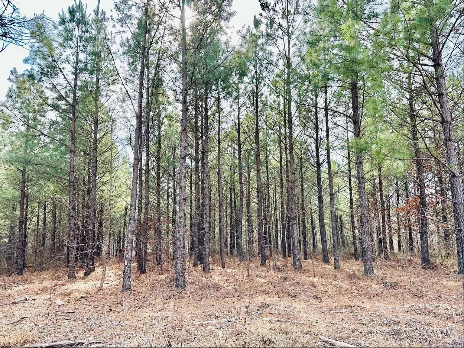 48 Ranches at Hickory Ridge