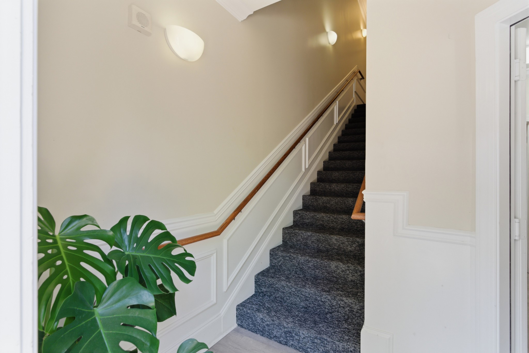 321 Billingsly Ct
