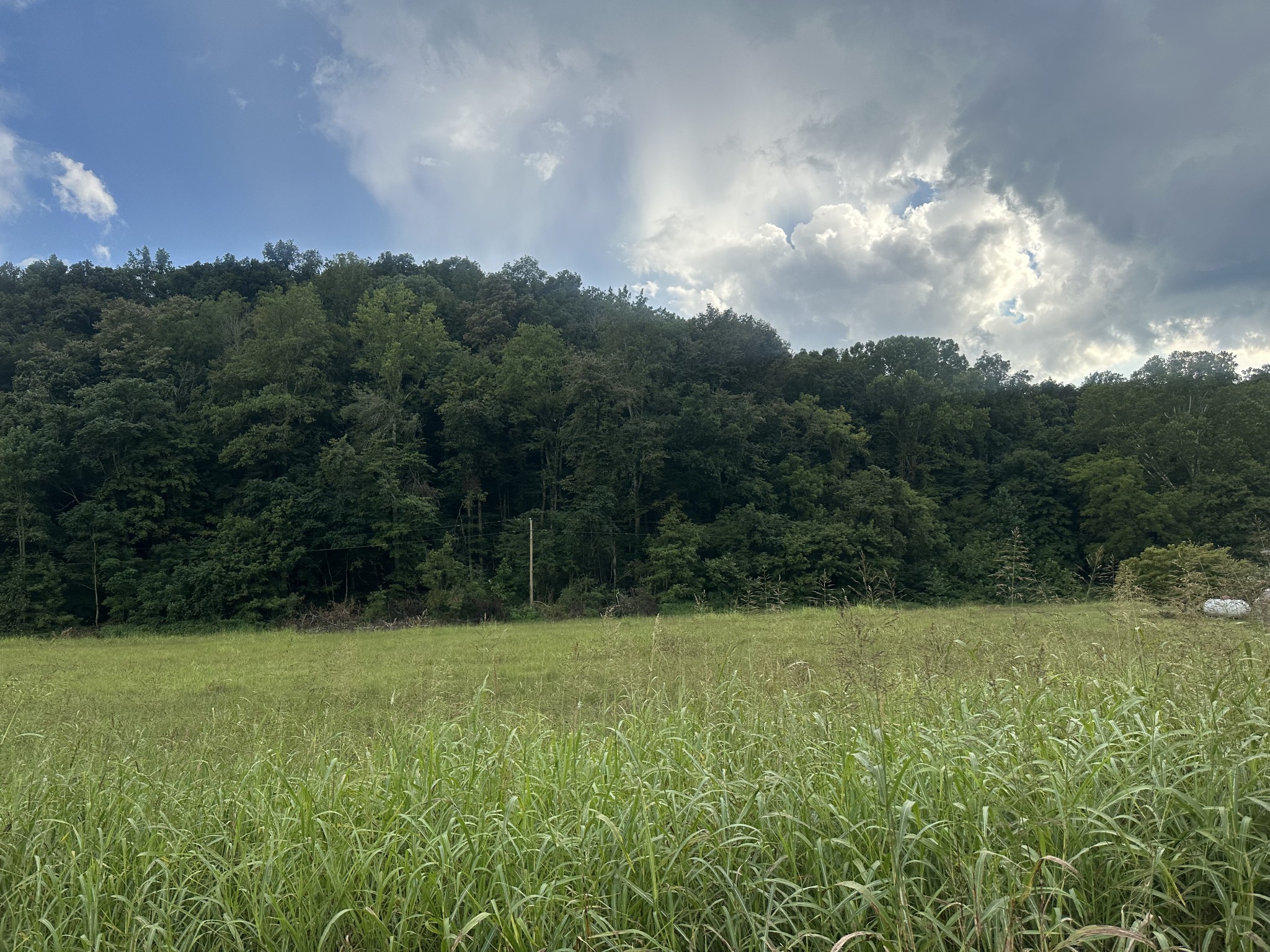 0 Lees Creek Rd