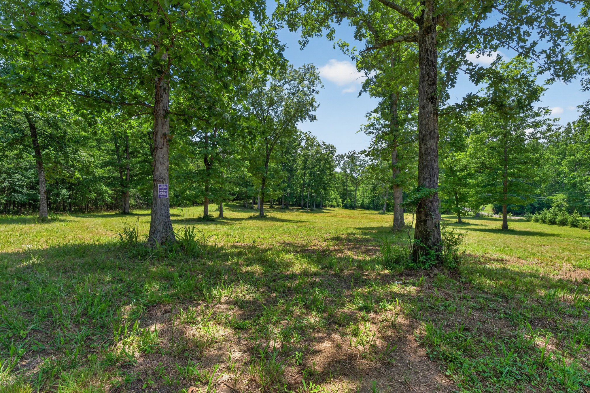 Photo 1 of 17 — 0 Monteagle Falls Rd, Monteagle, TN 37356