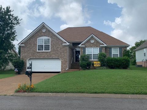 Photo of 1036 Persimmon Dr, Spring Hill, TN 37174 (MLS # 3148078)