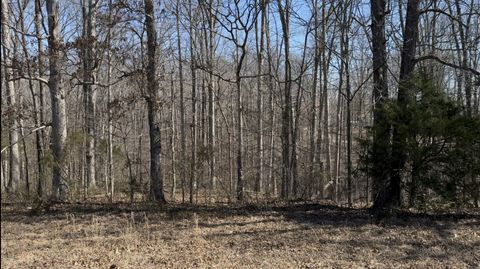 Photo of 0 Hwy 48 N, Centerville, TN 37033 (MLS # 3001205)