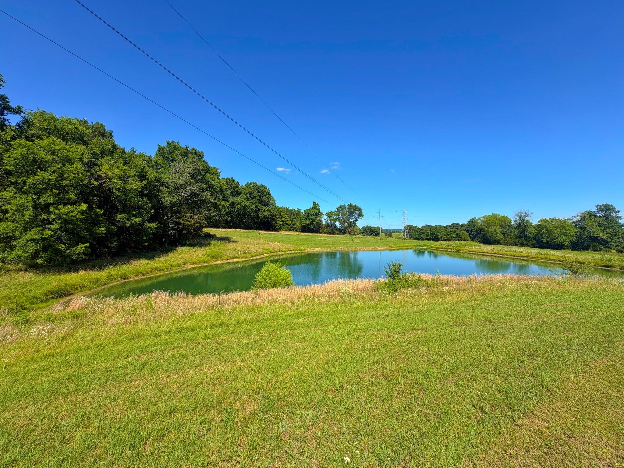 485C Canoe Branch Rd