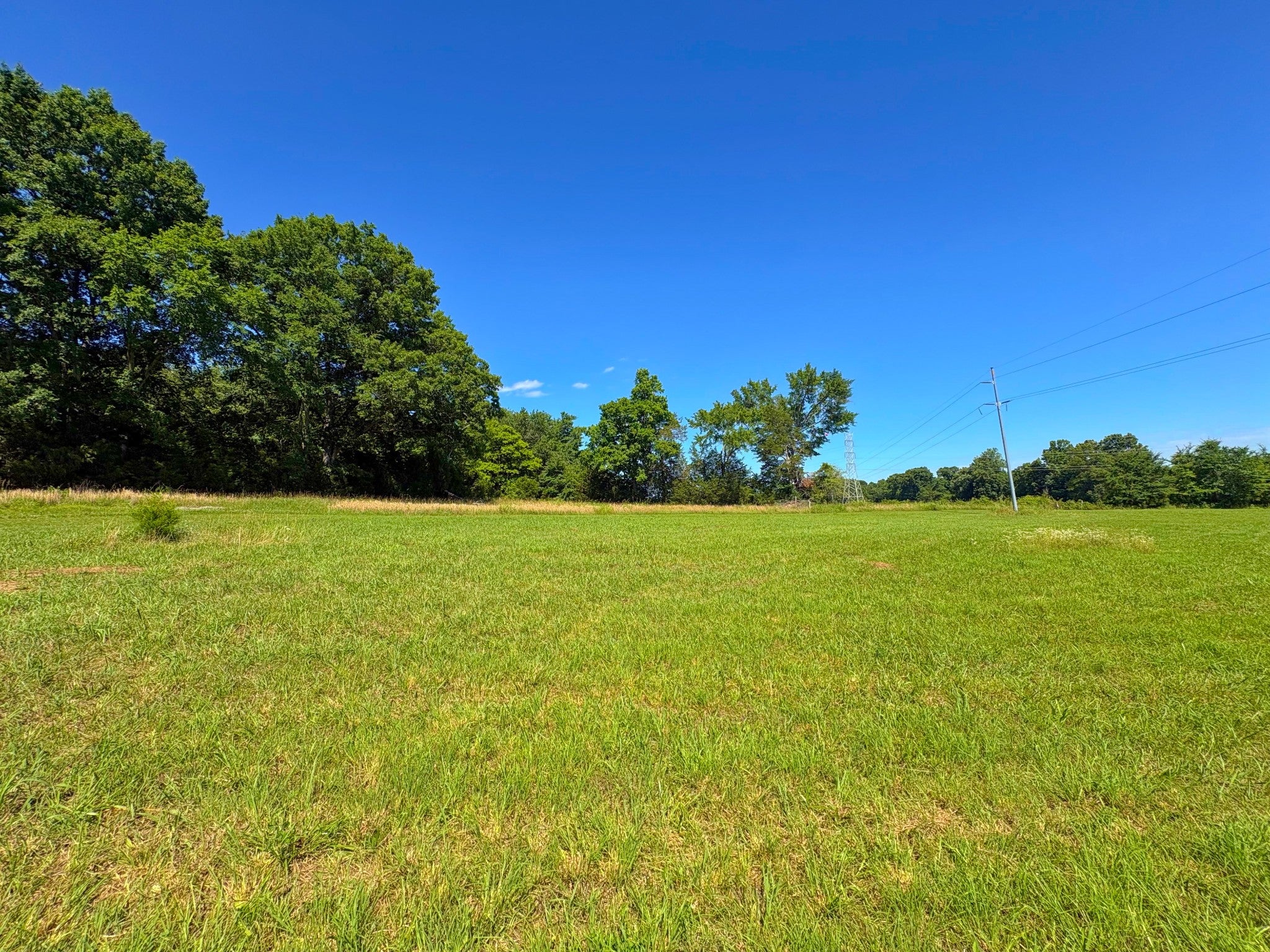 485C Canoe Branch Rd