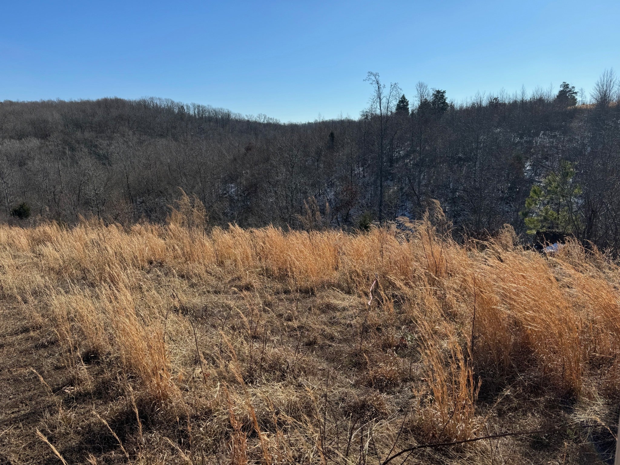 169 Twin Pines Rd