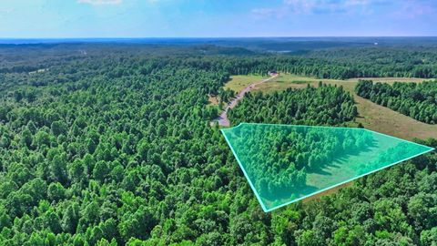 0 Freedom Ridge Indian Mound TN 37079
