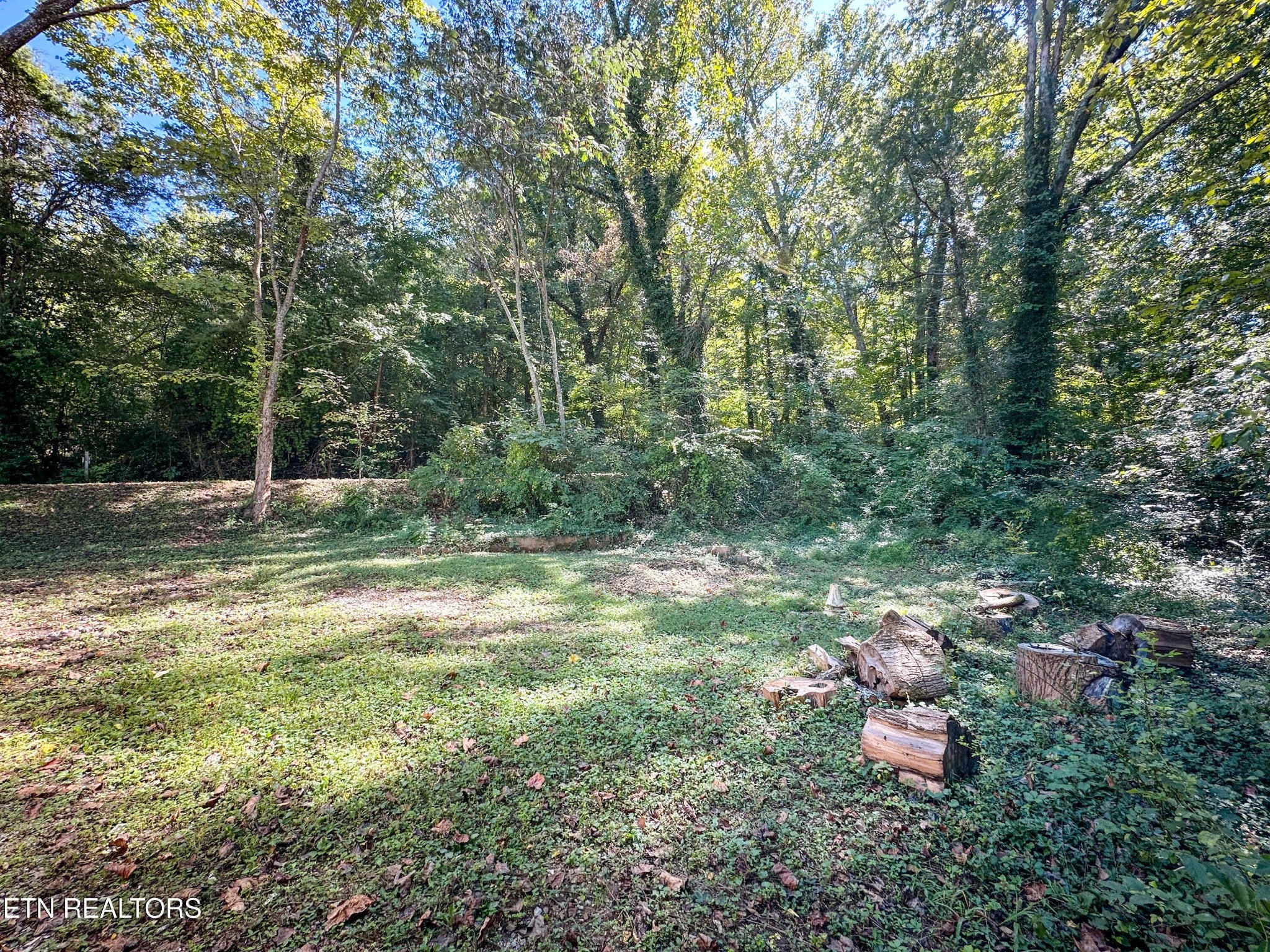 4737 Old Guinn Rd