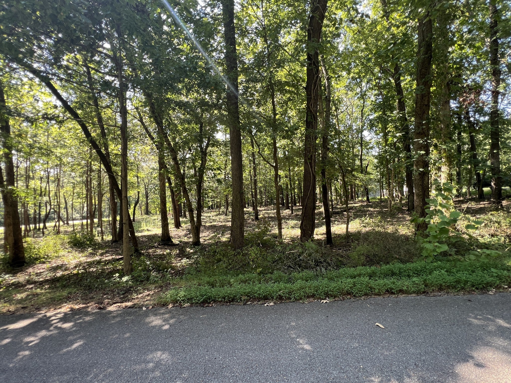 0 Forrest Dr
