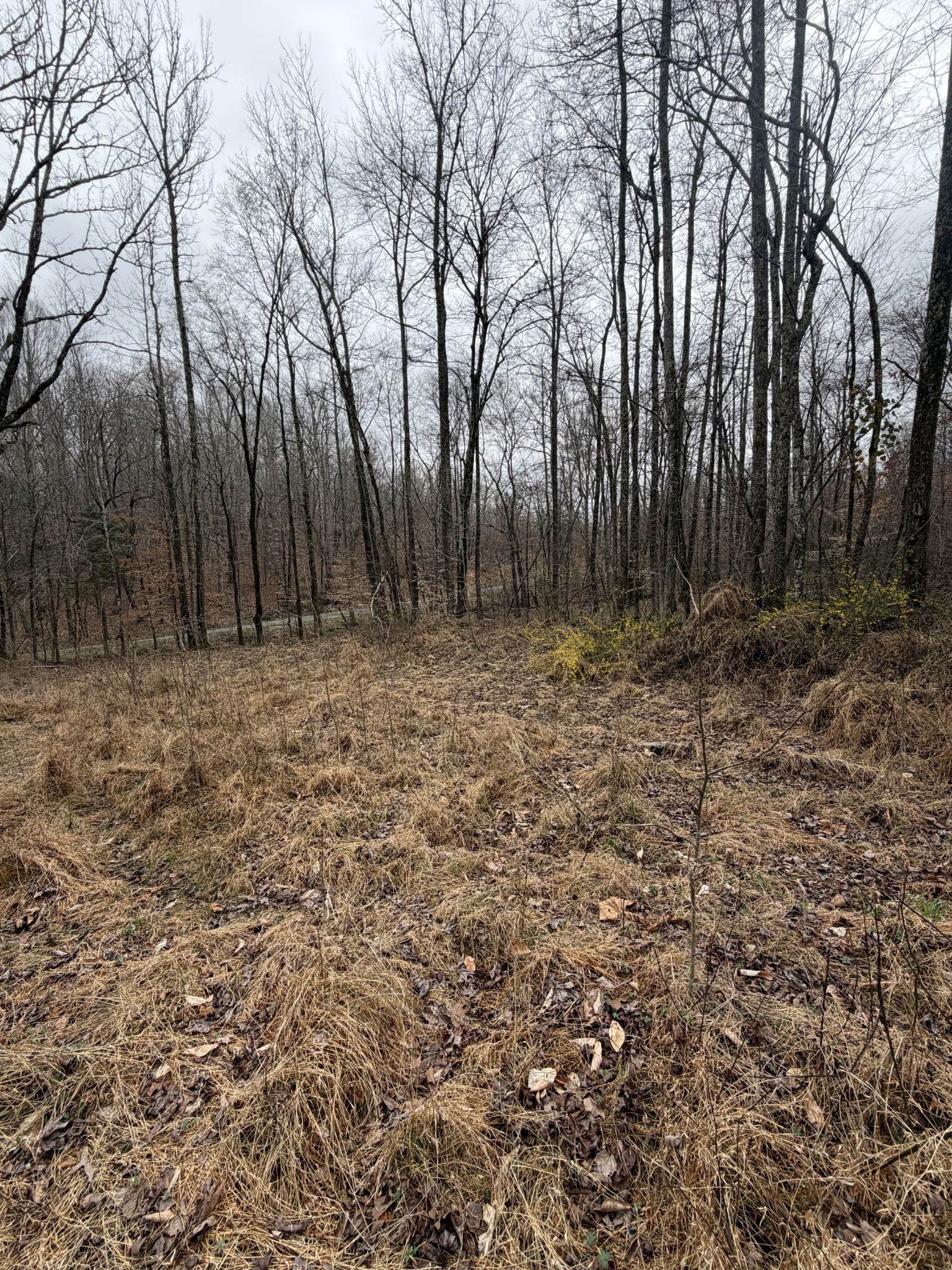 0 Highway Coxburg Rd S