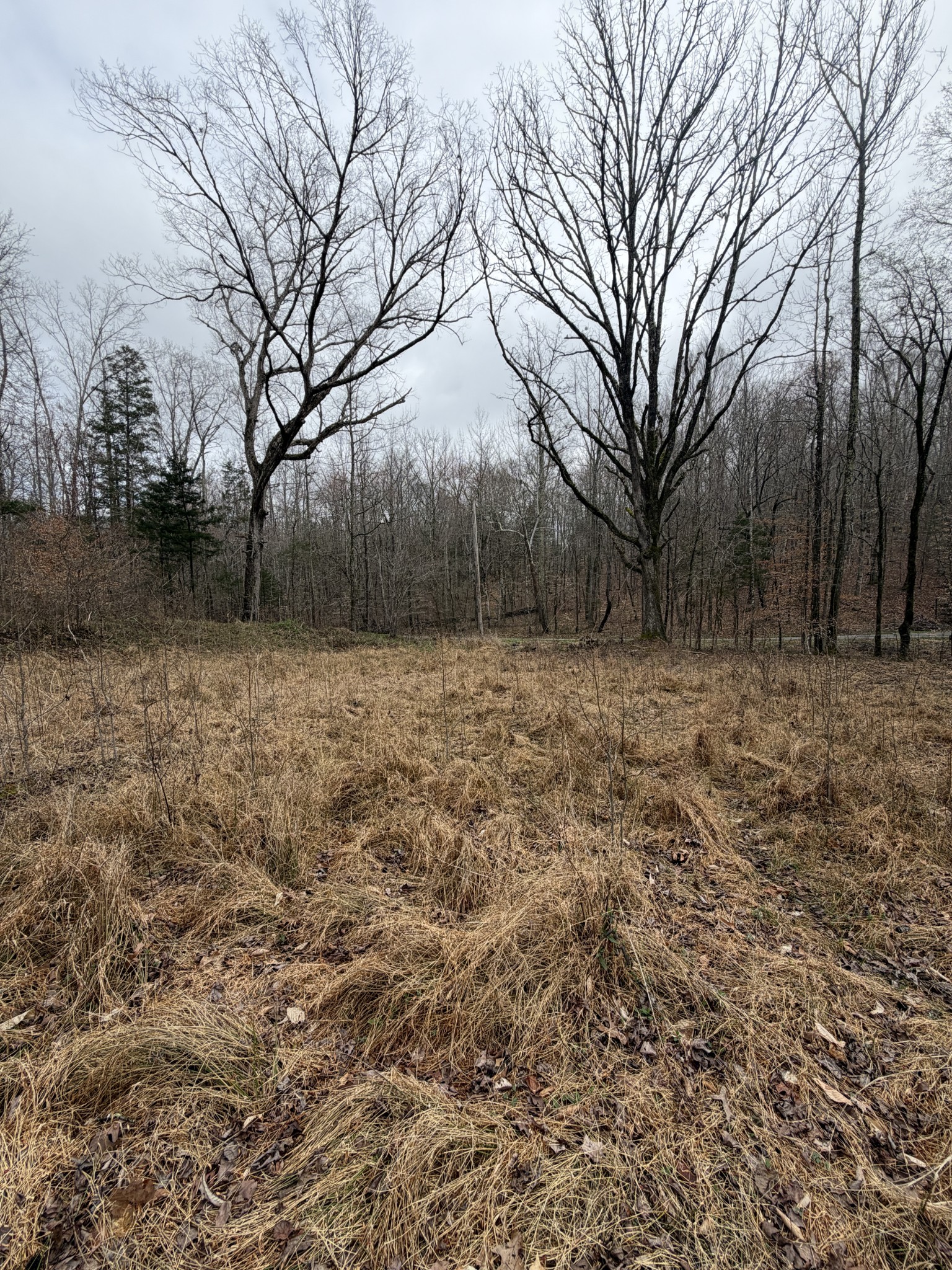 0 Highway Coxburg Rd S