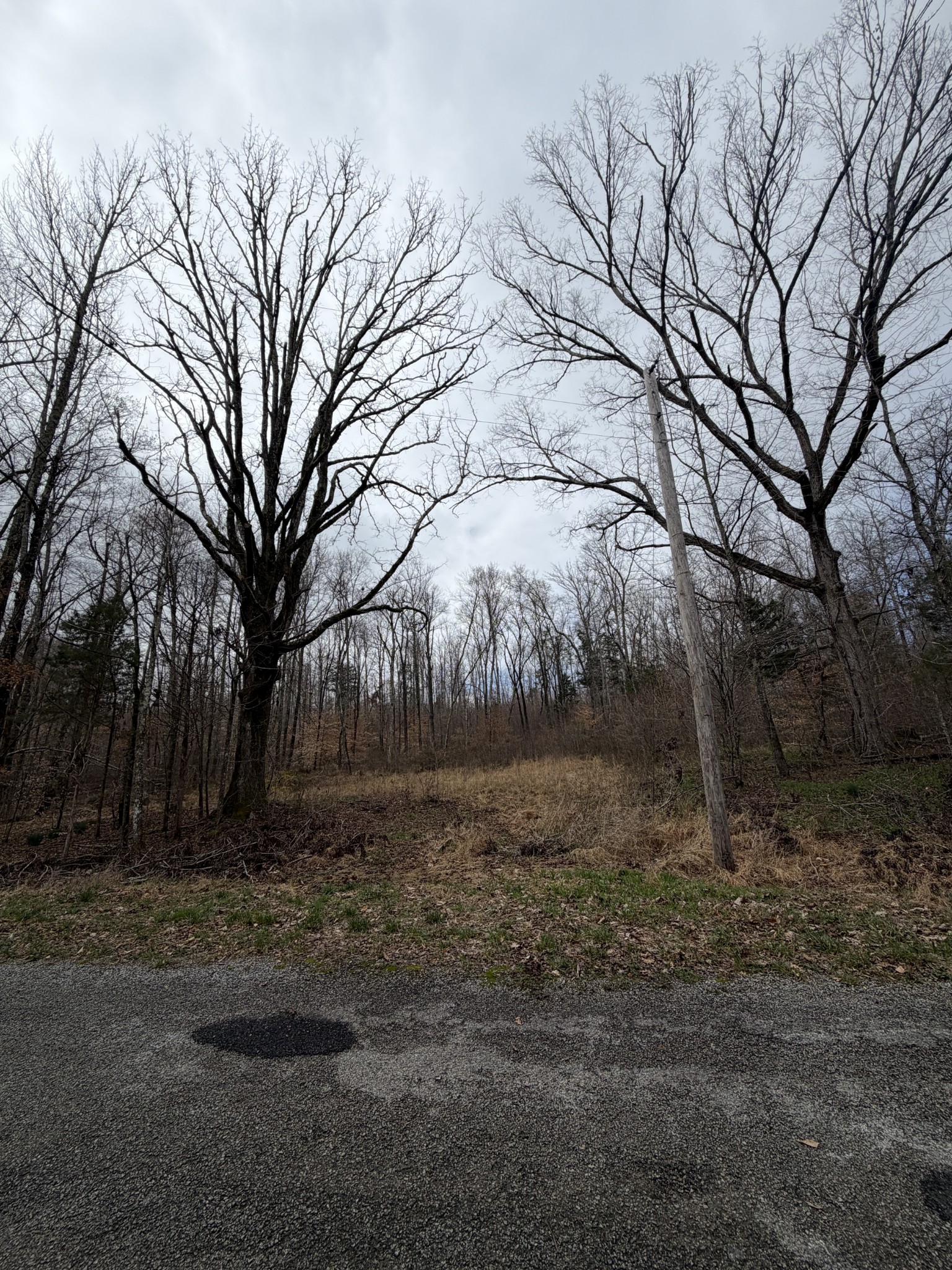 0 Highway Coxburg Rd S