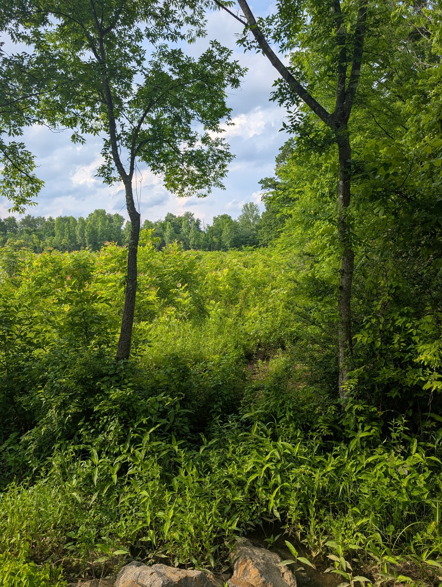 0 Sudberry Road