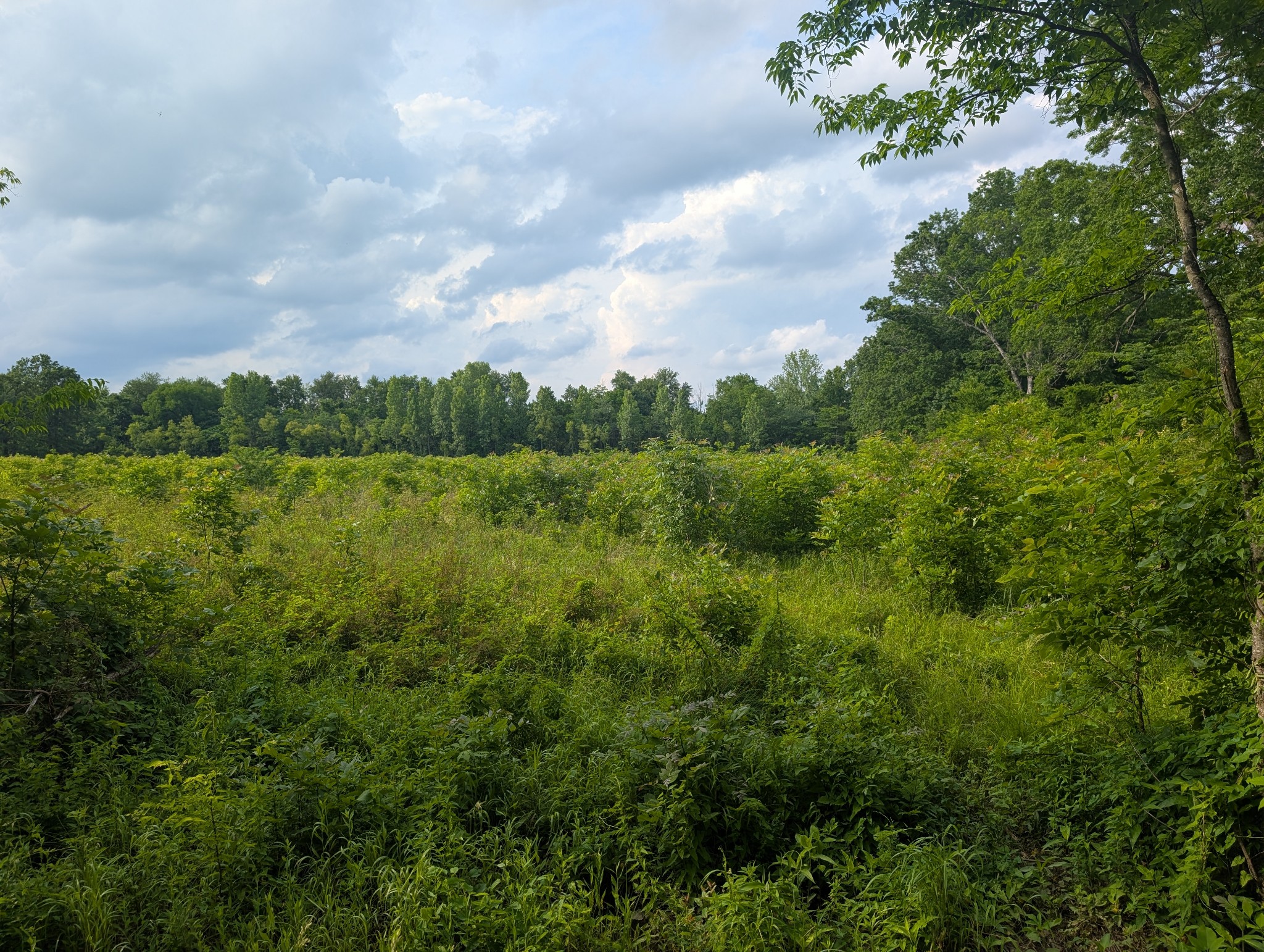 0 Sudberry Road