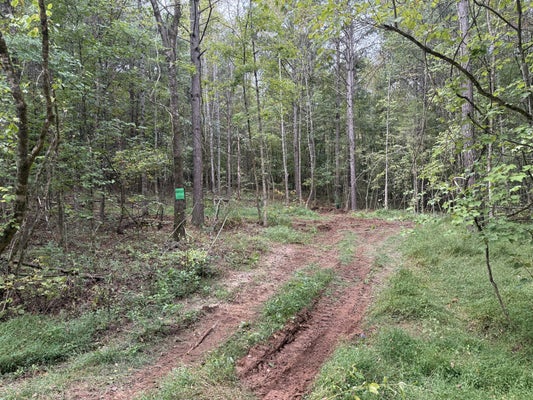 0 COUNTY ROAD 956, CALHOUN, TN 37309 - Image 27d2ebd4d94d2bf3324bc025e7af078b/1704144228