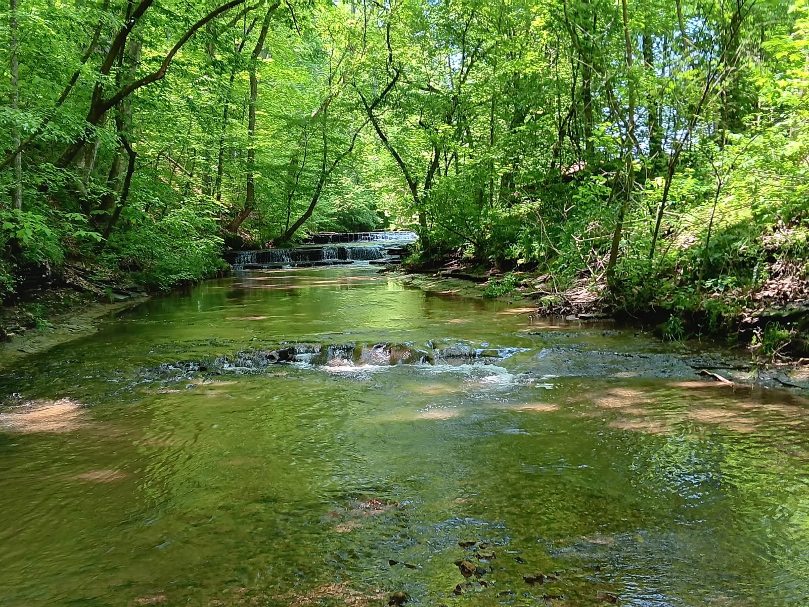 2073 Choates Creek Rd
