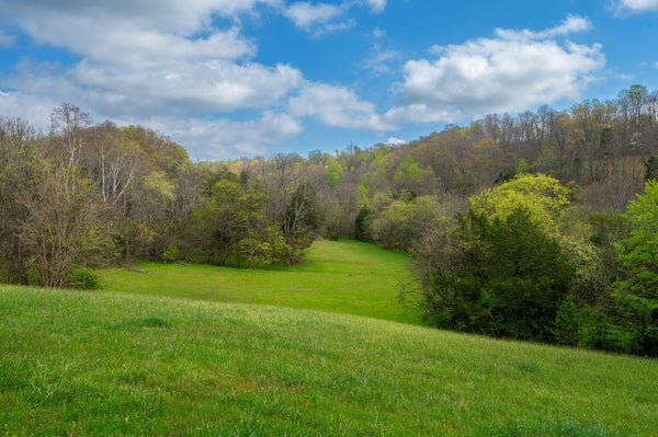 2882 YOKLEY RD, LYNNVILLE, TN 38472 - Image 27fcd4ffb75efc19dd8990385d0778e3/777692635