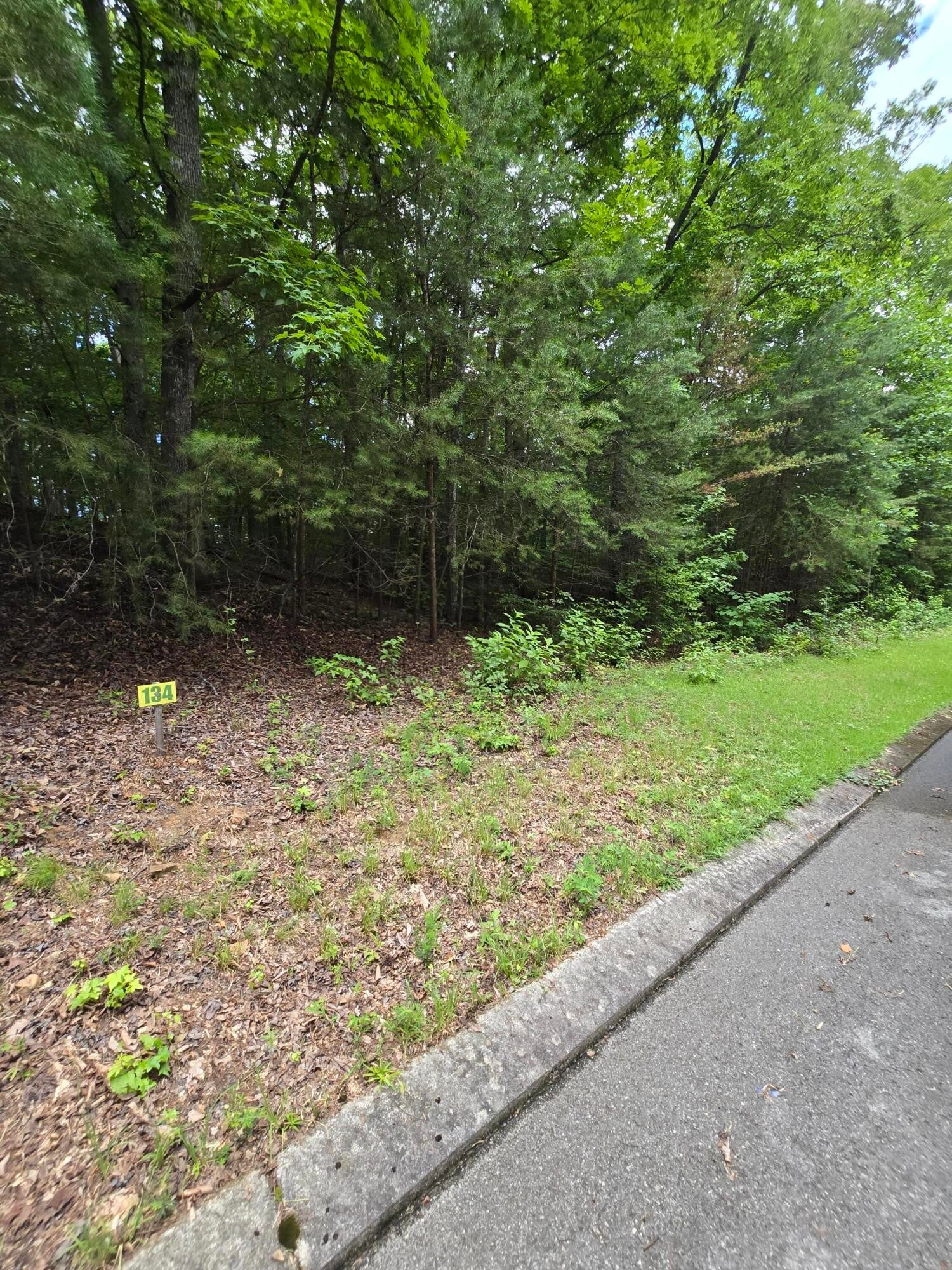 134 Lower Brow Road