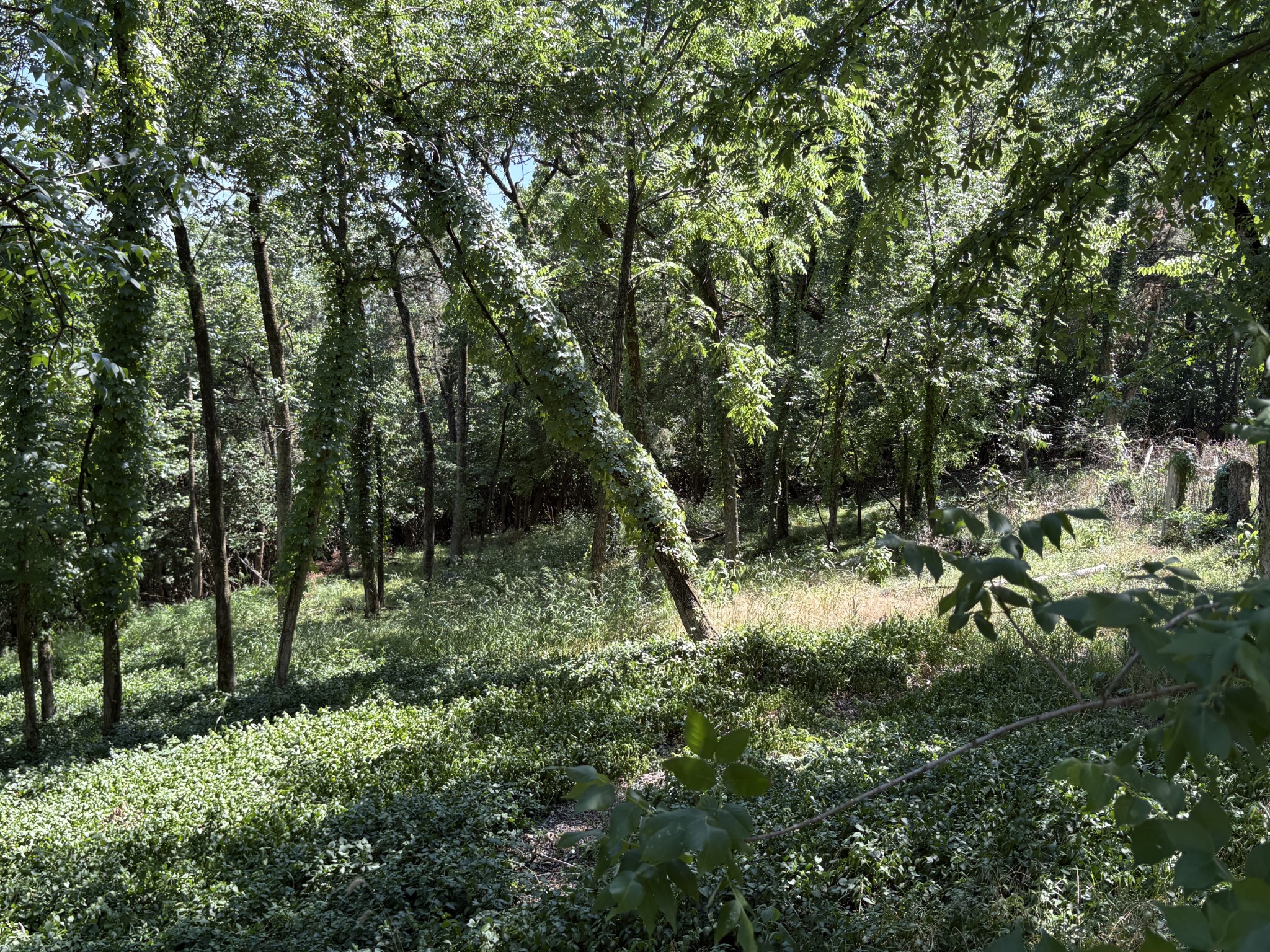 1060 Hickory Harbor Dr
