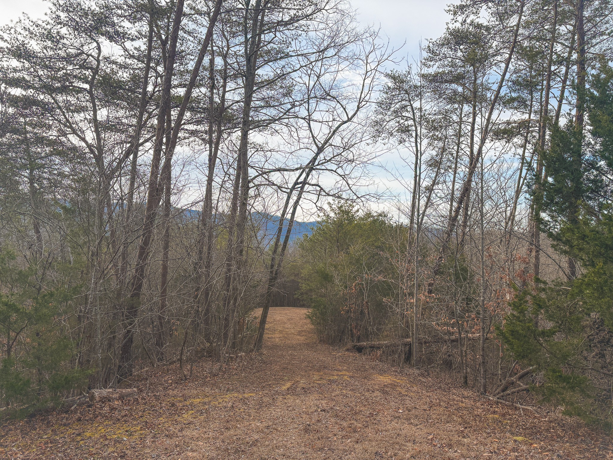 1133 Macedonia Martin Gap Rd