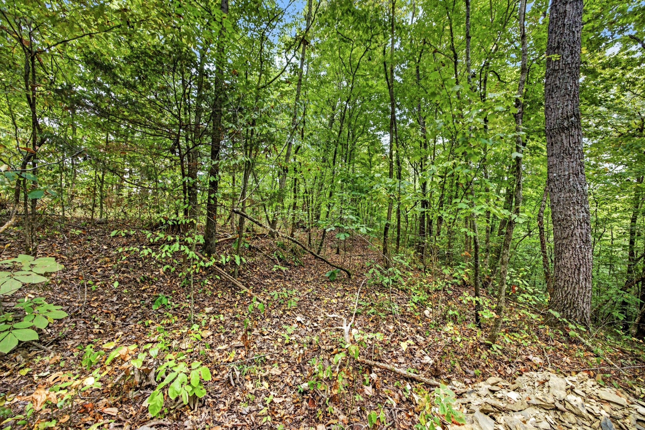 0 Timber Ridge Lane