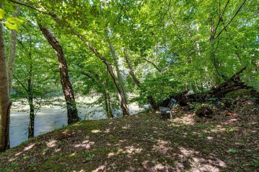 160 Tree Frog Lane