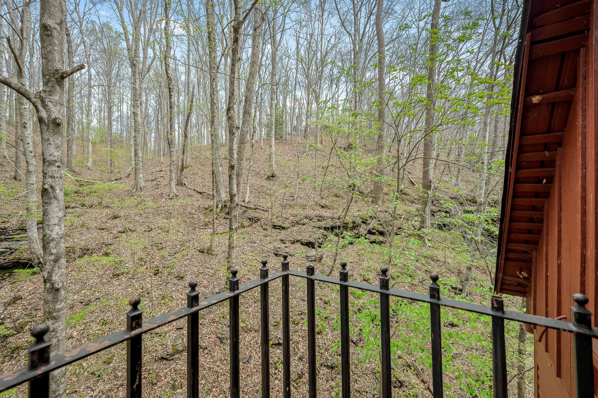 1195 SHIPMAN CREEK ROAD