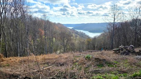 109 Deer Path Ct Smithville TN 37166