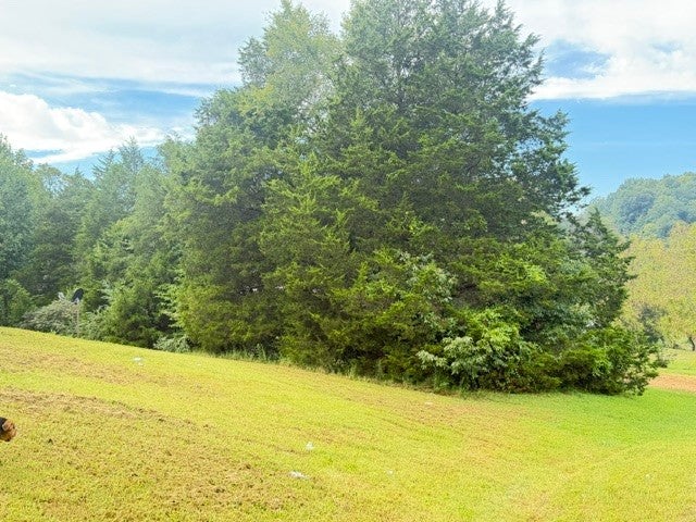 1295 Carney Winters Rd