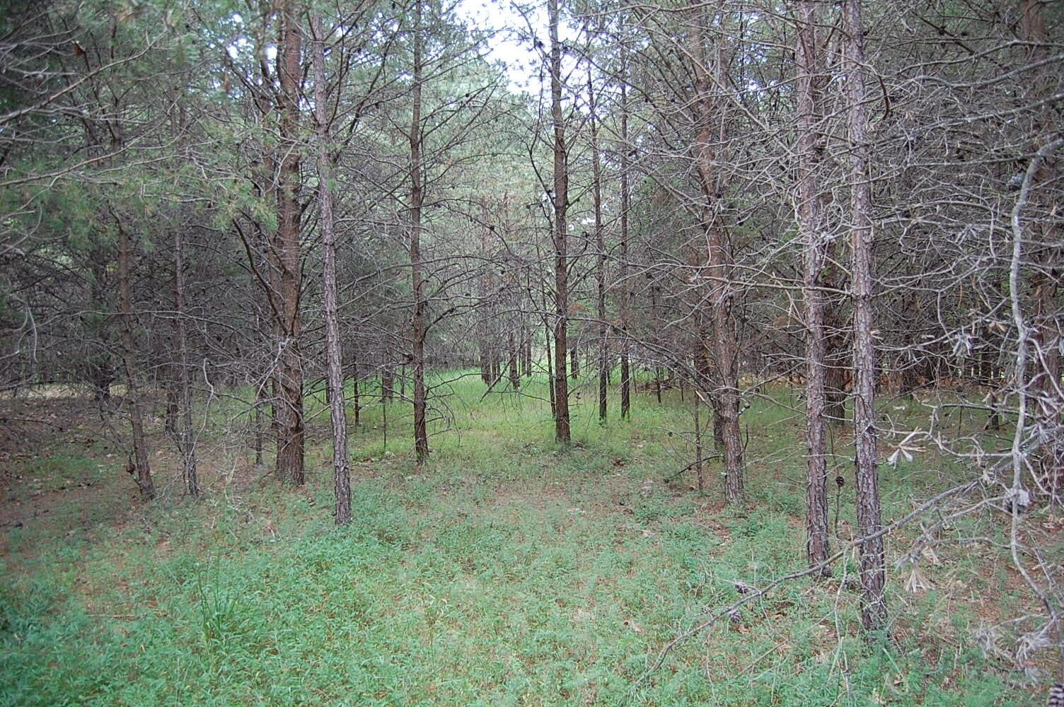 36 Bluff View Drive