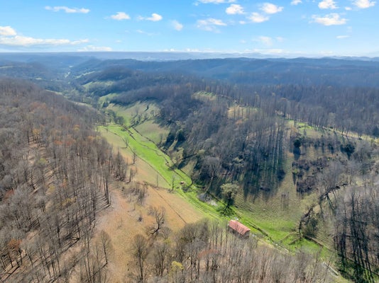 546 WOMACK HOLLOW RD, LIBERTY, TN 37095 - Image 2892941df06e61ba75150c4c615906a3/144542814