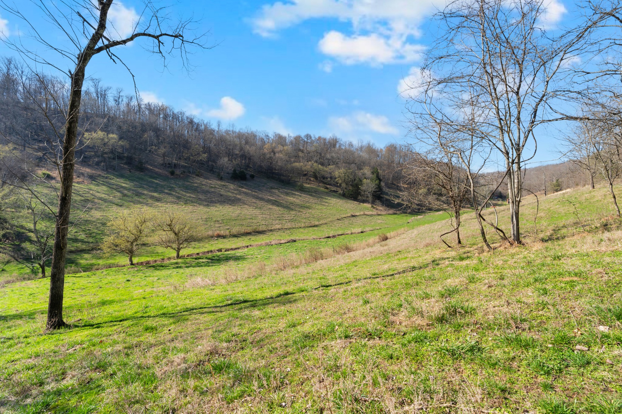 546 Womack Hollow Rd