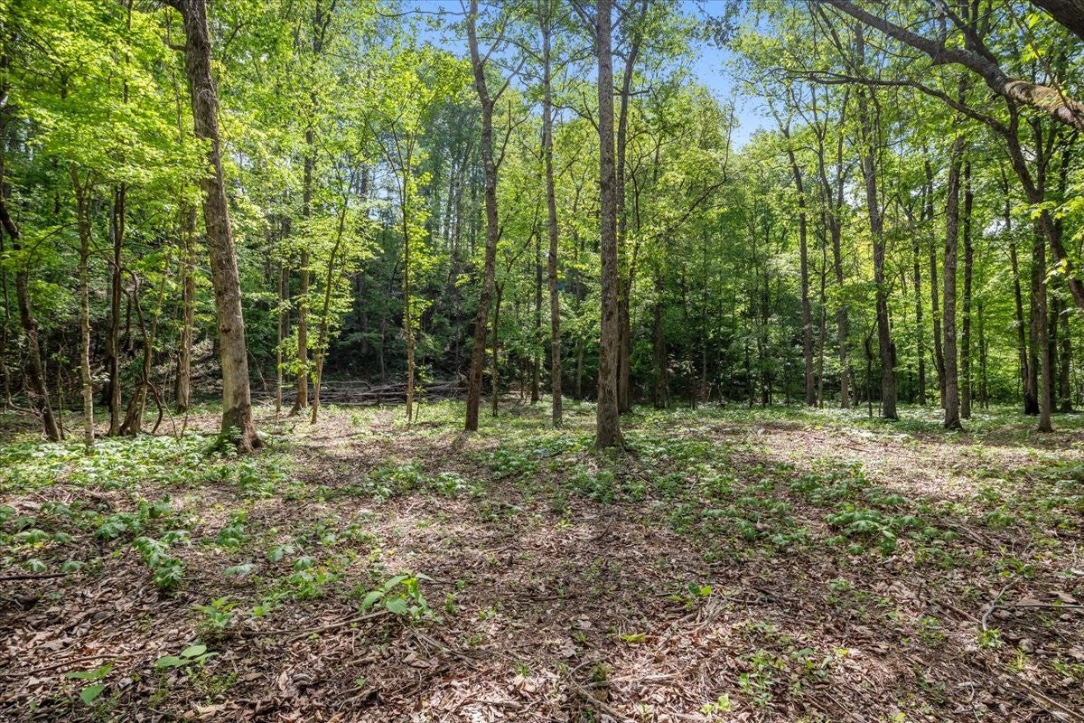 0 Rustling Oaks Dr