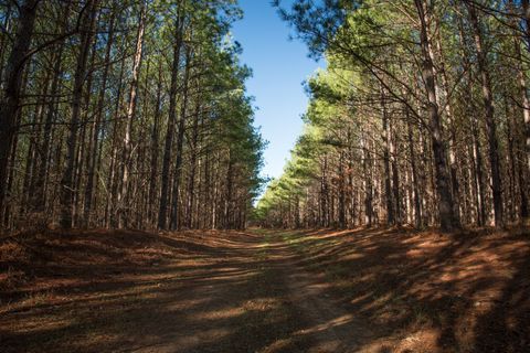 0 Mayfield Divide Rd Centerville TN 37033