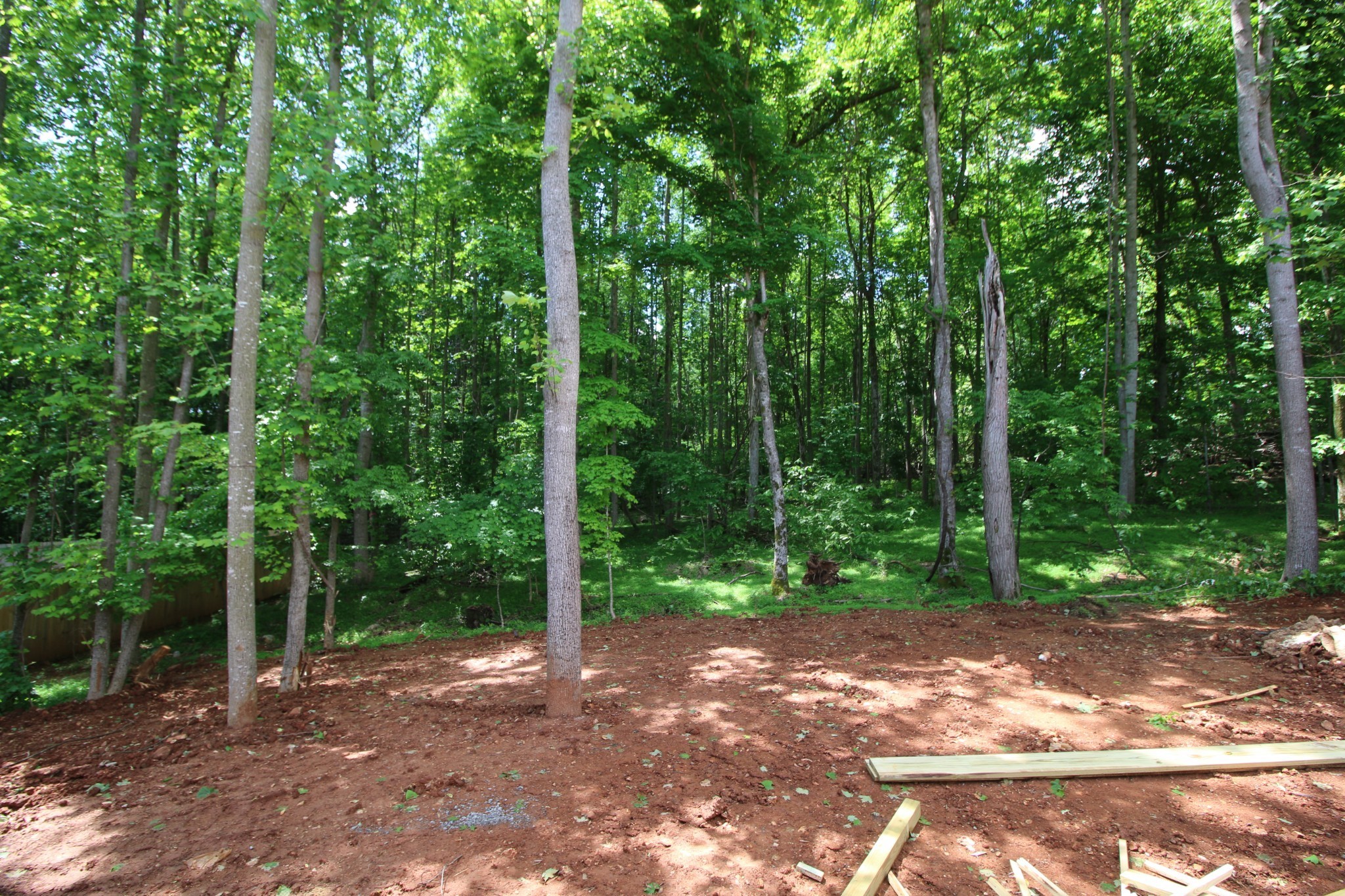 288 Timber Springs