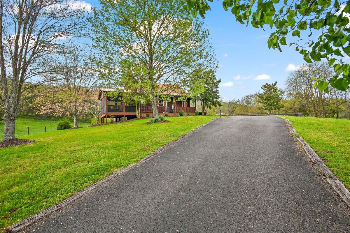 389 Bluestocking Hollow Rd