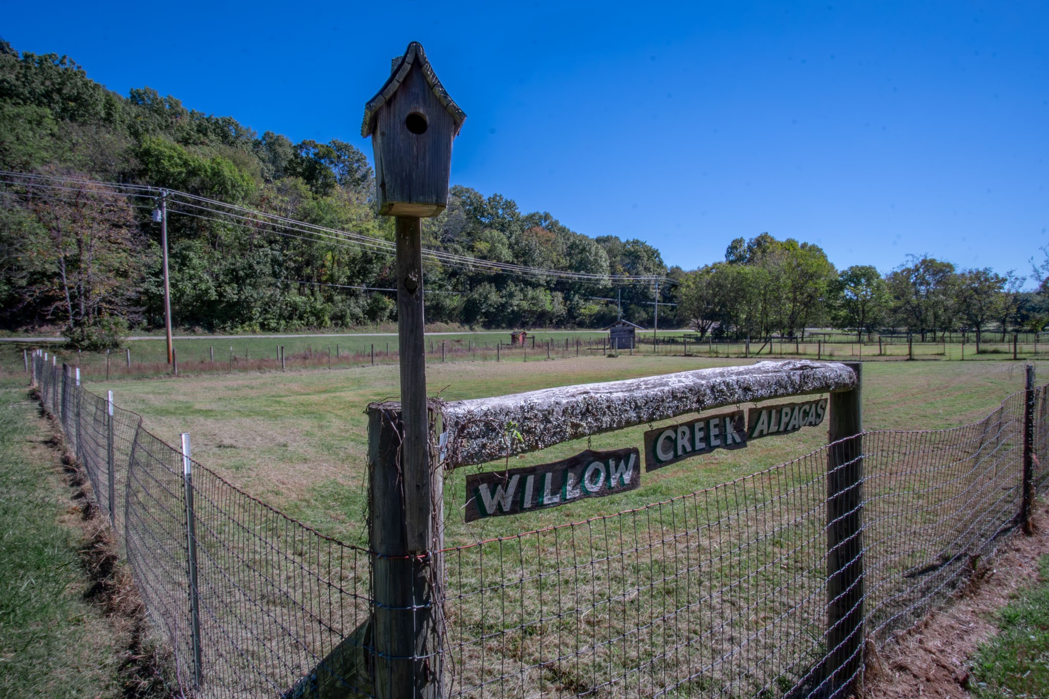 6861 Arno Allisona Rd