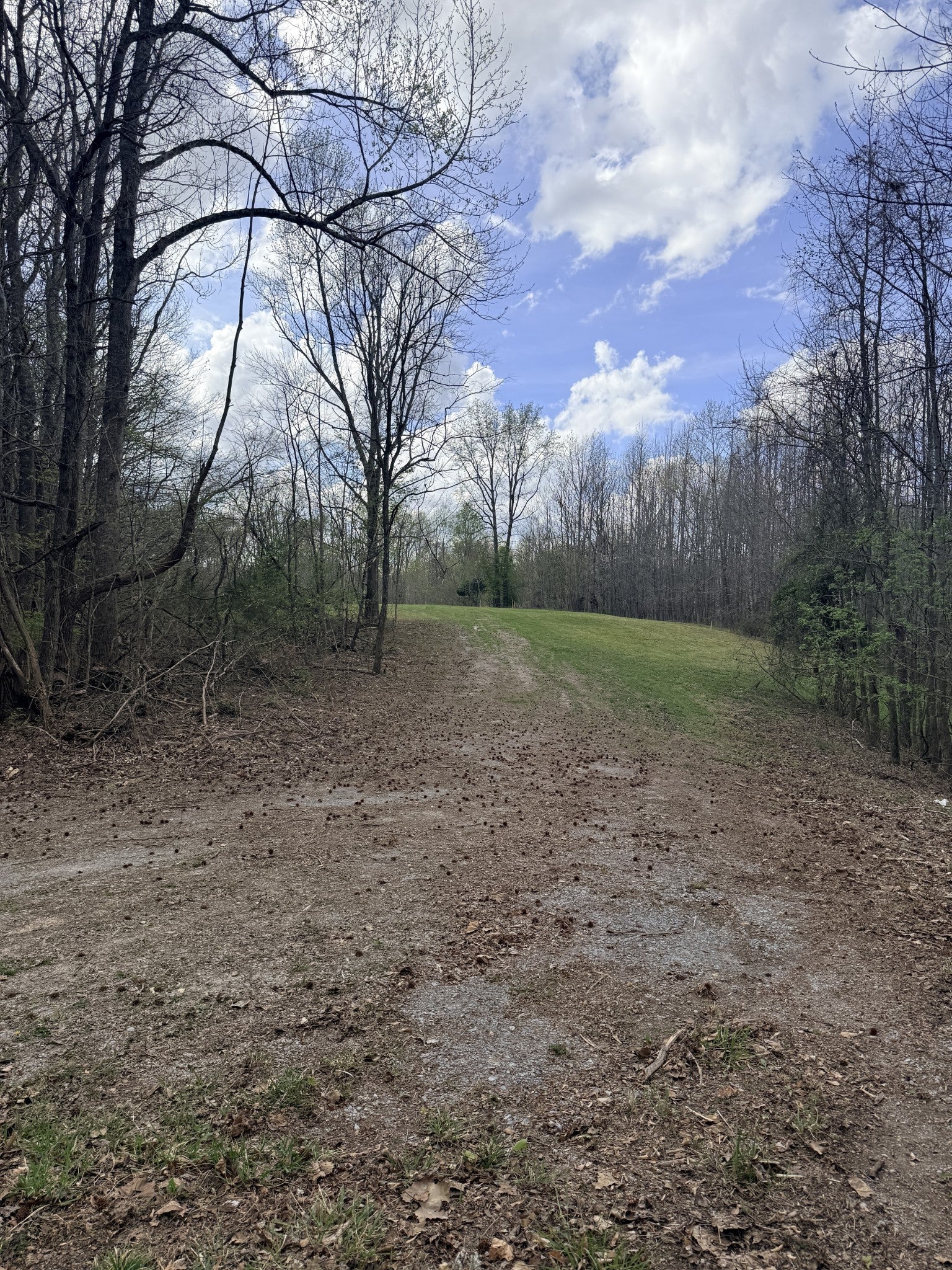 0 Sugar Tree Knob Rd