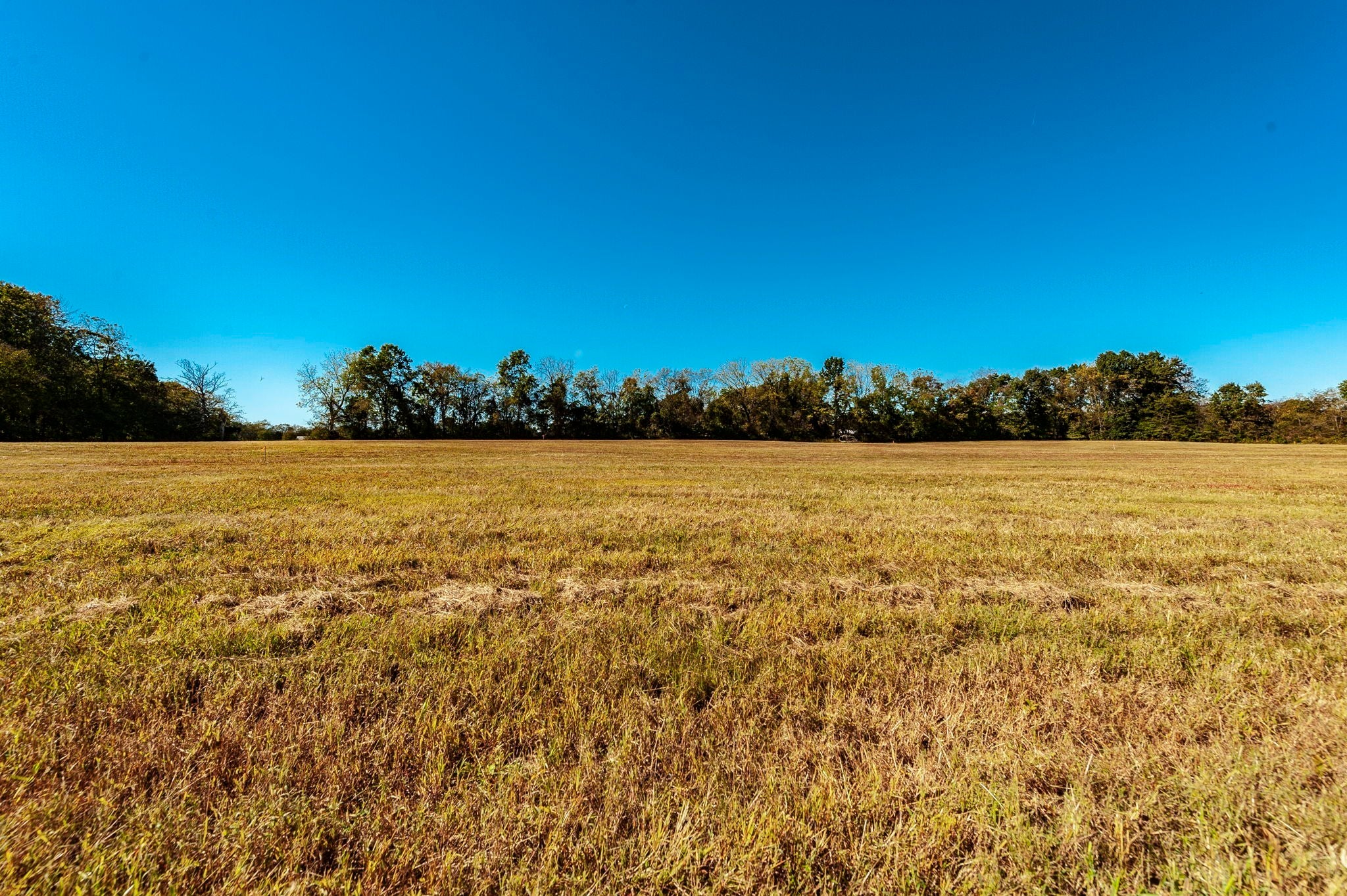 0 Highway 52E - Photo 3