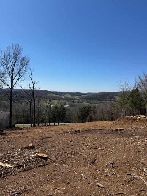 121 Matt Drive Bell Buckle TN 37020