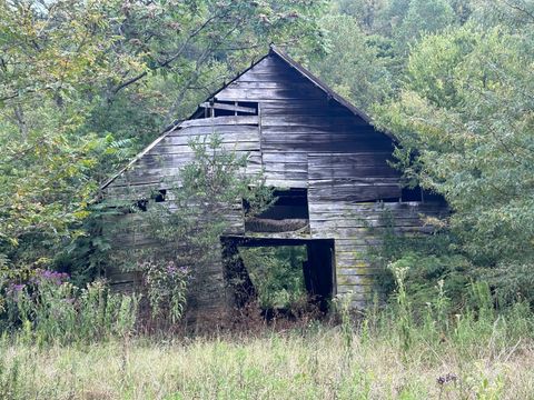 499 Tallent Rd Pulaski TN 38478
