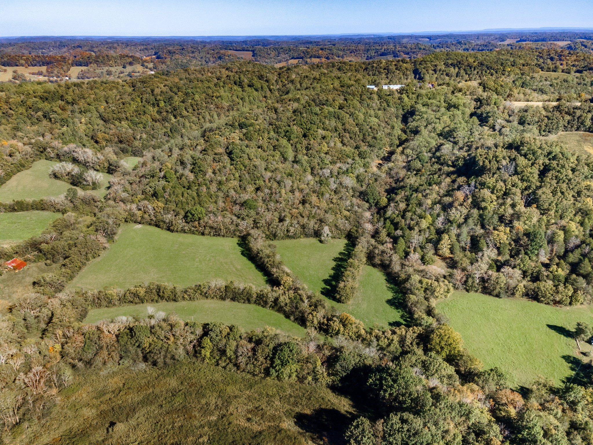 499 Tallent Rd