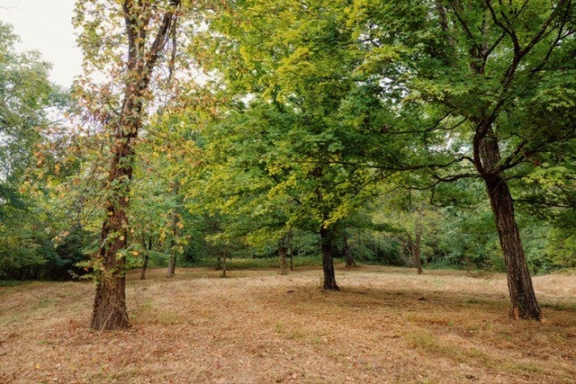 listing at 0 Lula Ln, Franklin