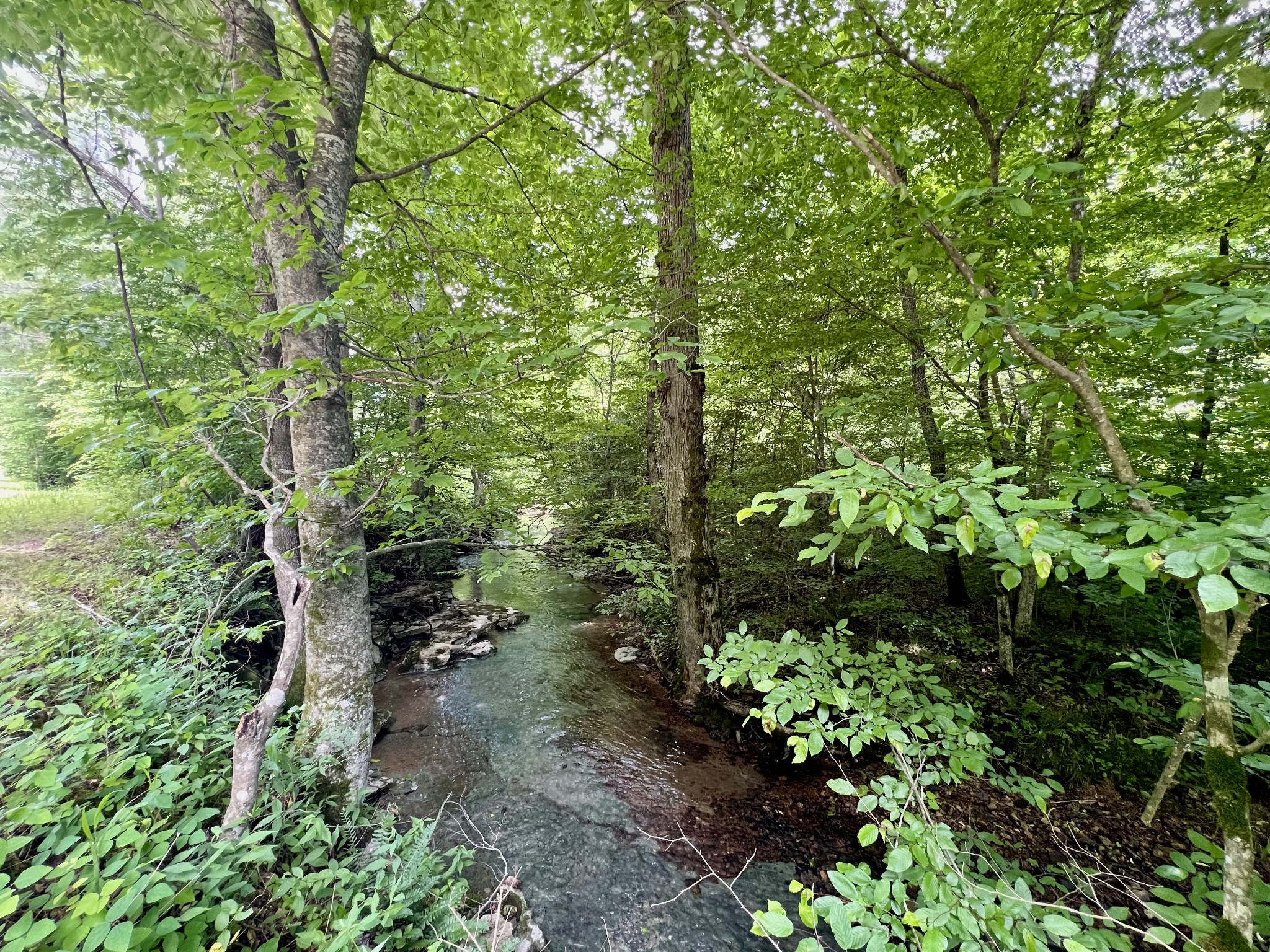 0 Powdermill Branch Rd