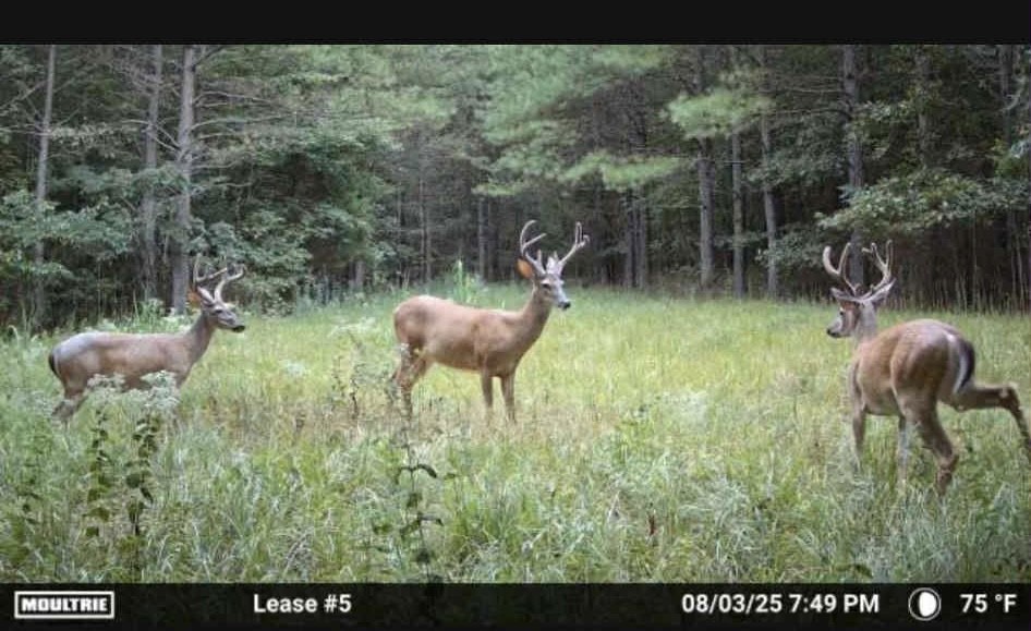 0 Powdermill Branch Rd