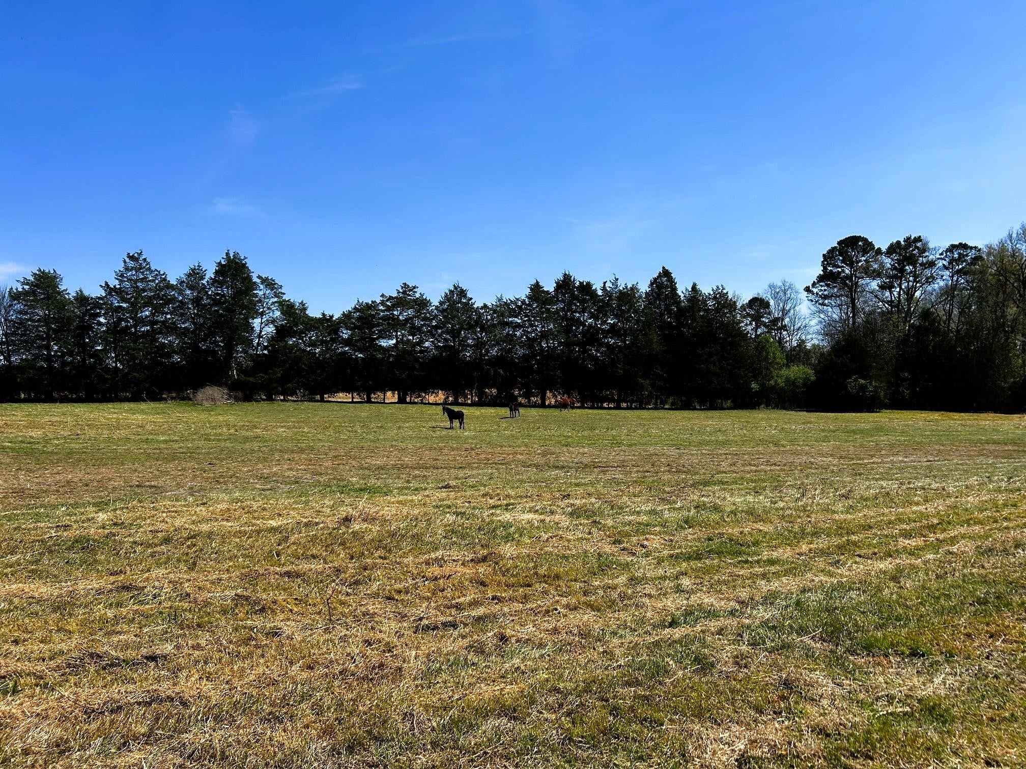 175 County Road 571