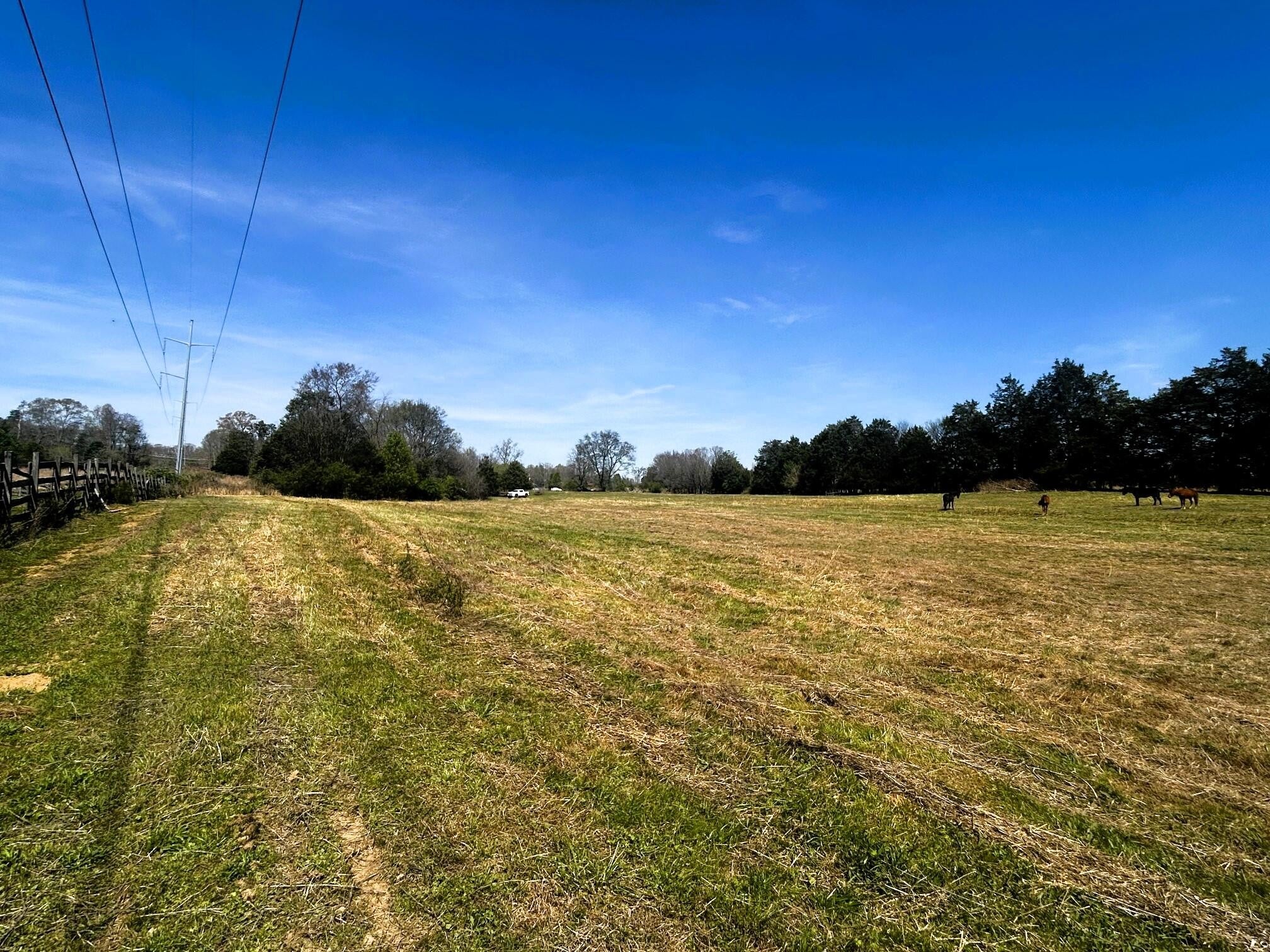 175 County Road 571